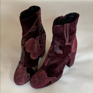 Steve Madden Boots “Goldie” | Burgundy Velvet